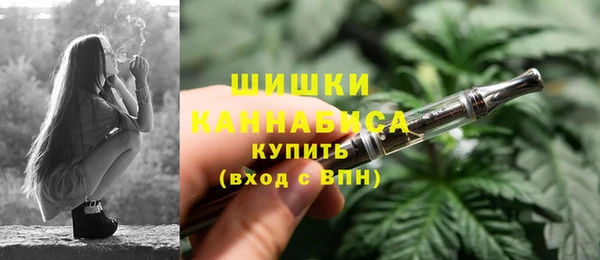 индика Вязники